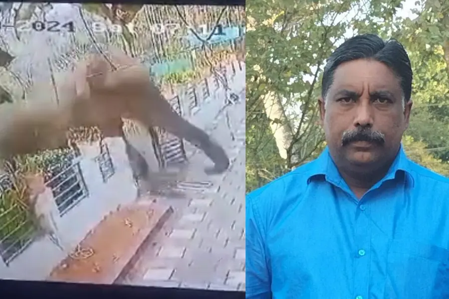 Rs 10 lakh compensation, job to kin of man killed by wild tusker in Wayanad