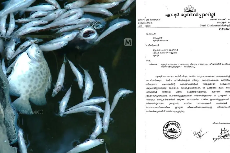 Mass fish kill in Periyar: Eloor Municipality files complaint against companies