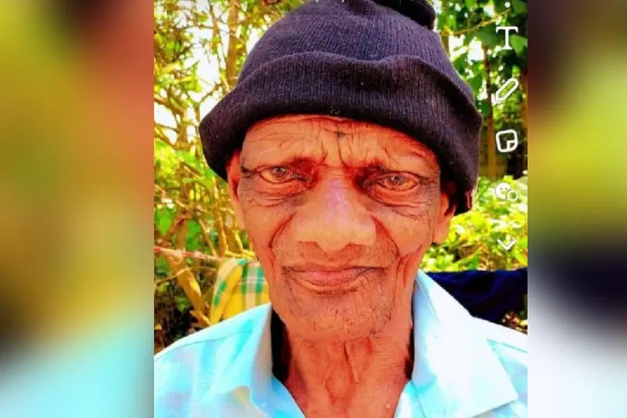 Elderly man killed in wild elephant attack in Gudalur