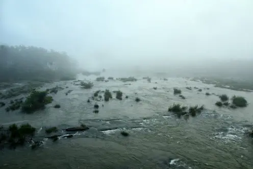 Kerala sets up expert committee to regulate river water use