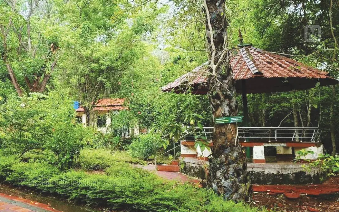 Choolannur Peafowl Sanctuary