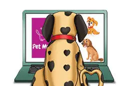 Your pet can also find a perfect mate now