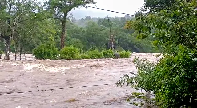 A view of Chalakudy river. Photo: ANI