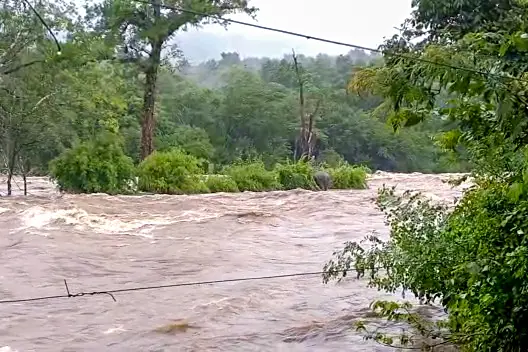 Chalakudy river in spate, NDRF personnel deployed;Thrissur, Ernakulam districts under high alert