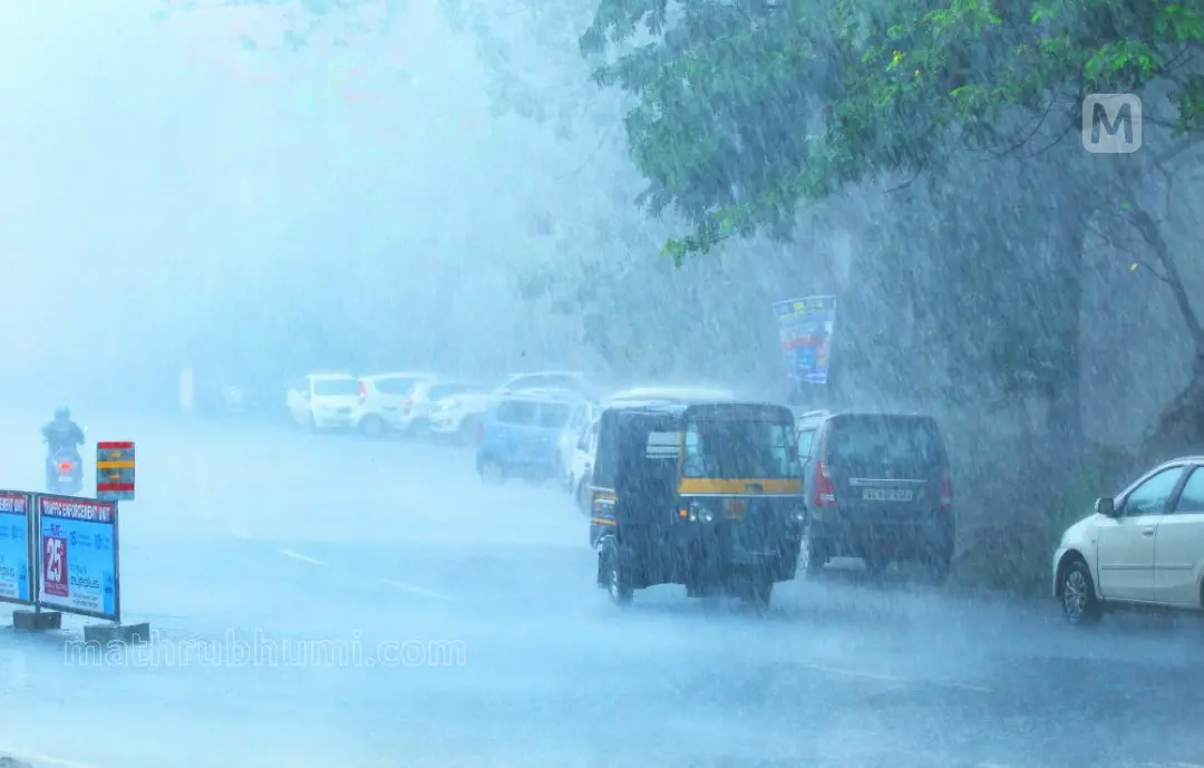 Representative Image | Photo: Mathrubhumi