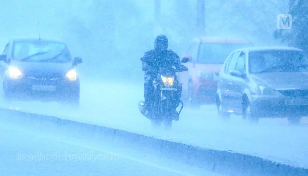 Representational image | Photo: Mathrubhumi