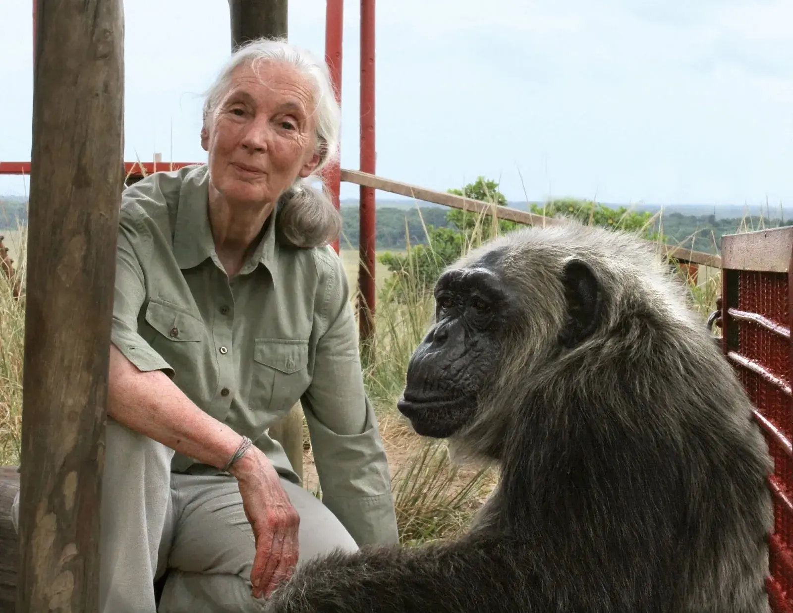 Dr. Jane Goodall
