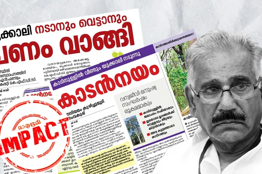Order to plant Eucalyptus trees in forests frozen, minister seeks explanation from KFDC