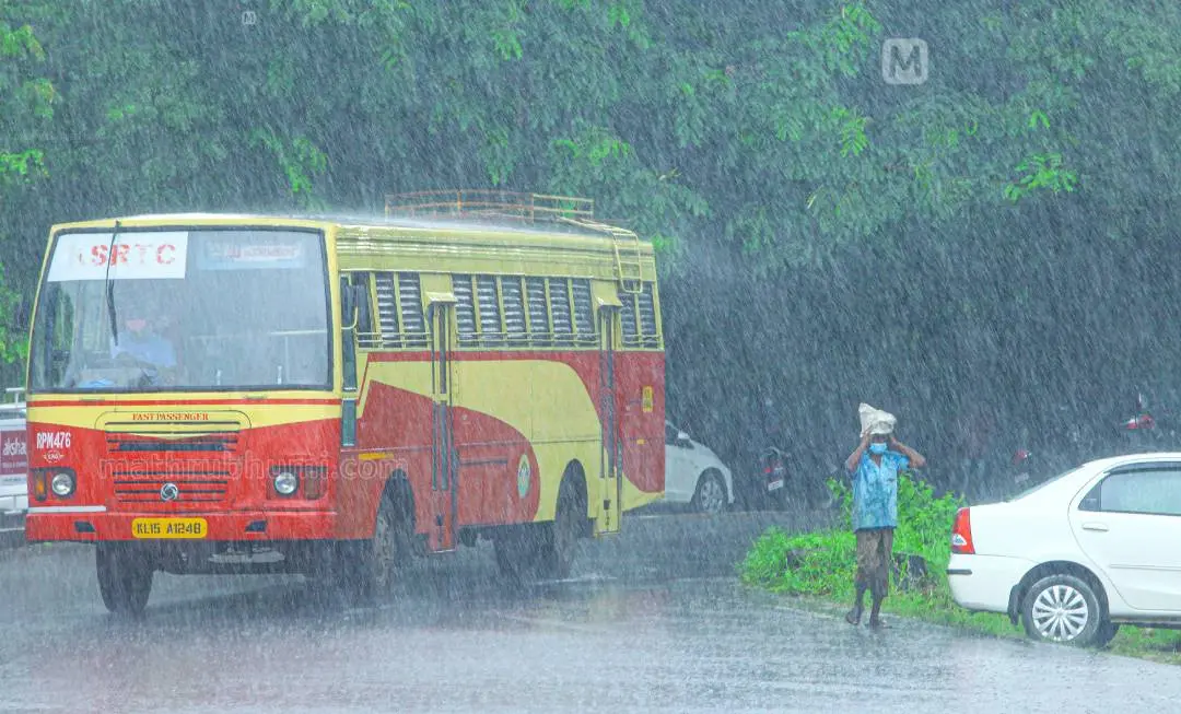Rain in Kerala | Photo: PP Ratheesh