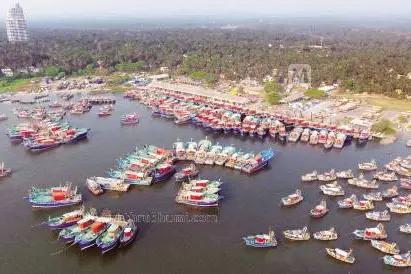 Central Marine Fisheries Research Institute embark on coastal survey on marine mammals