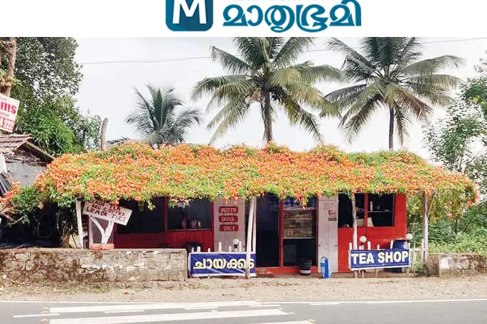 Freakish Orange is the colour of Mathew's tea shop in Munnar