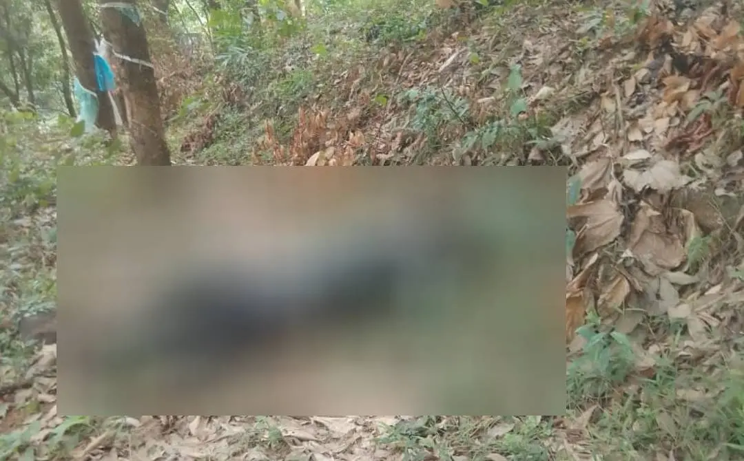 Dead body found in rubber plantation