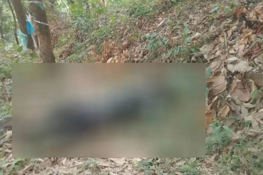 Unidentified rotten body spotted near Thusharagiri Road