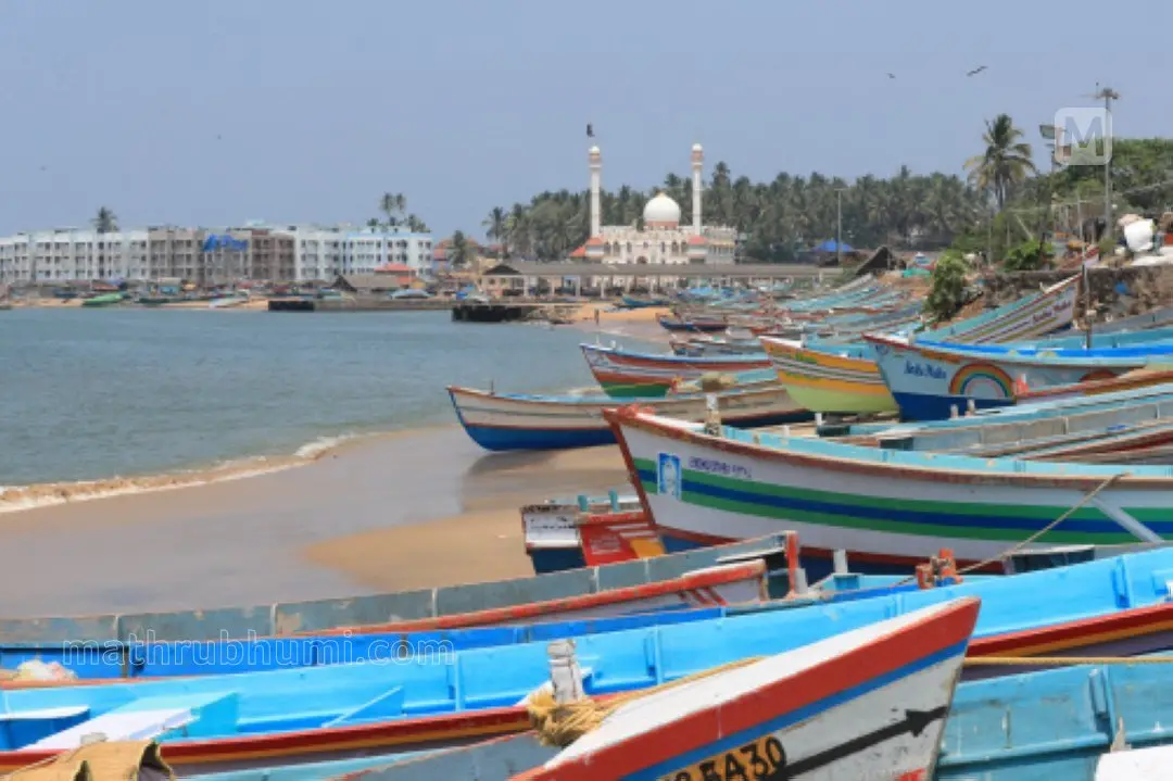 Representative image | Photo: Mathrubhumi