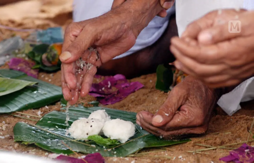 File Photo | Photo: Mathrubhumi