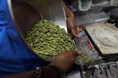 Heat wave: Plantation sector pins hopes on long-term relief package
