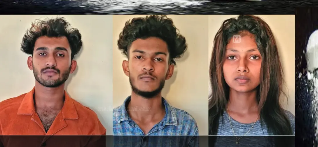 Abhiram, Abin, Anu Lakshmi