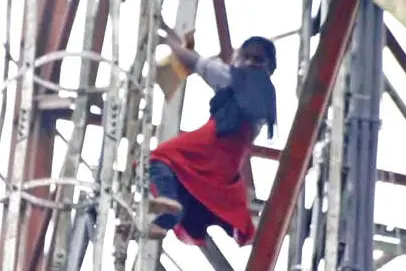 Woman climbs mobile tower in suicide bid, jumps down due to wasp attack
