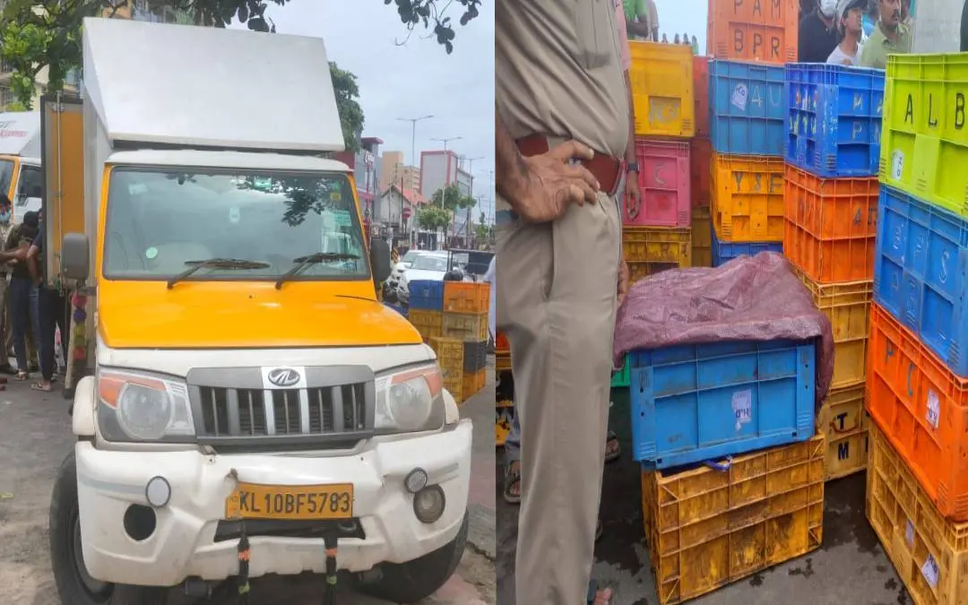 Ganja seized from fish boxes in Kozhikode | Photo: Mathrubhumi