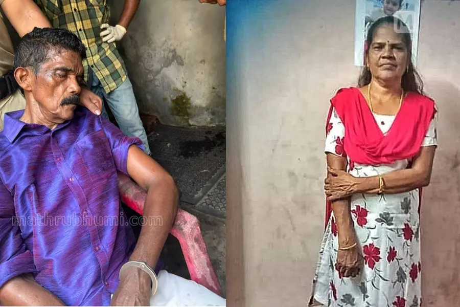 കൈയബദ്ധം പറ്റിയെന്ന് സഹോദരൻ, 60-കാരിയെ കൊന്ന് കുഴിച്ചിട്ടത് അടുക്കളയുടെ പിറകിൽ; ദൃശ്യം മോഡൽ