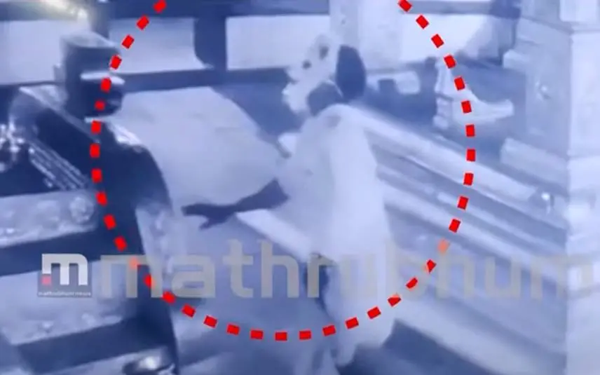 CCTV visuals of the theft | Photo: Screengrab from Mathrubhumi News
