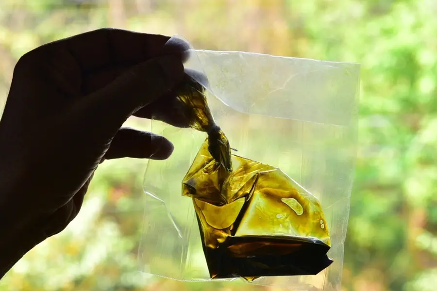 Kerala witnesses Rs 14.6 cr worth drug seizures, 1,038 related arrests in last 35 days