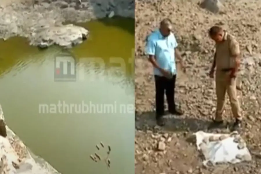Human skull found in quarry pond in Palakkad, probe on