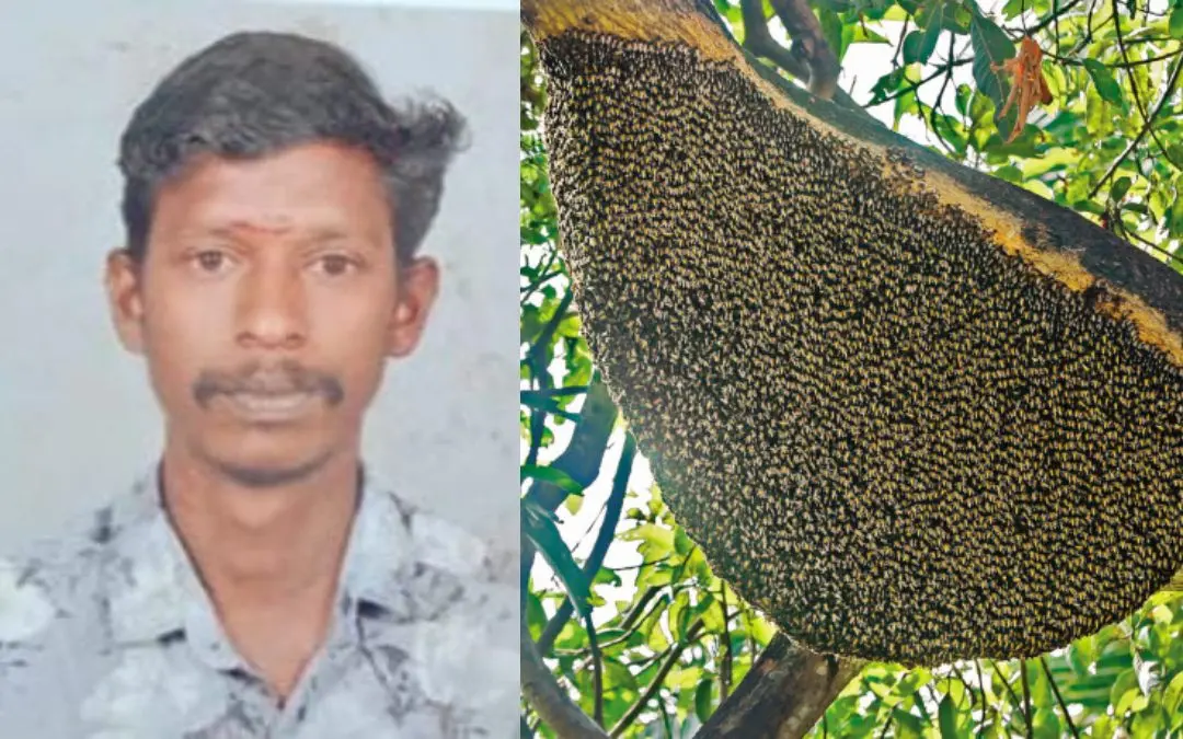Suresh, Representational image | Photo: Arrangement, Mathrubhumi