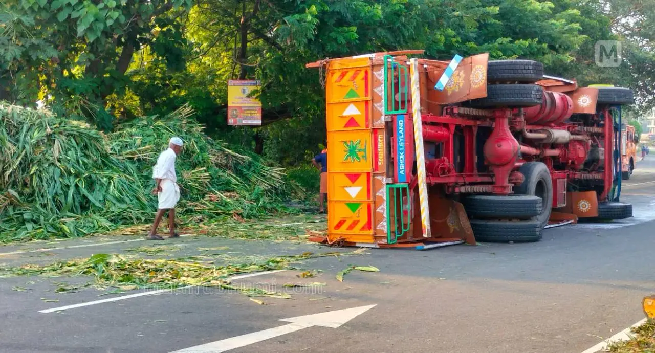 The cargo lorry involved in the accident | Photo: Mathrubhumi