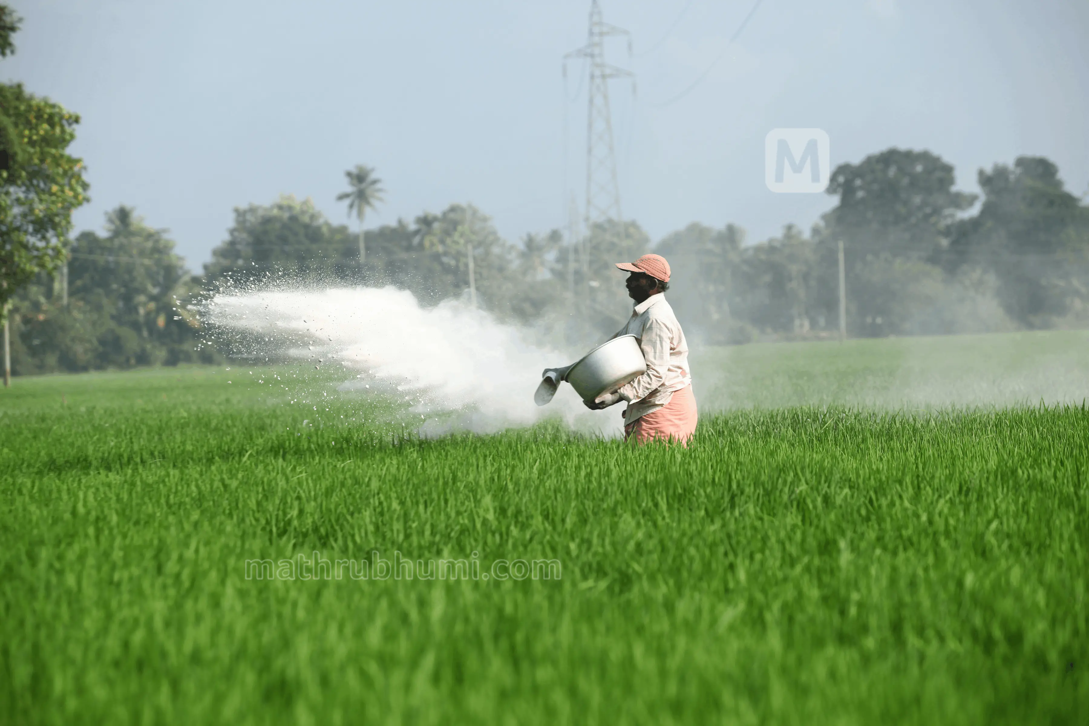 Farmer in paddy field at Kuttanad | Photo: Sreejith P Raj