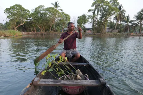 TP Murukesan rows a canoe stocked with mangrove saplings along a waterbody meant for prawns and pokkali rice off the shore of Vypin Island in Kochi, Kerala state, India, on March 4, 2023. Known locally as Mangrove Man, Murukesan has turned to planting the trees along the shores to counter the impacts of rising waters on his home | Photo: AP/PTI