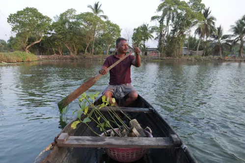 'Mangrove Man' in Kerala fights to salvage sinking shores