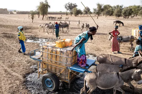 Fulani pastoralists arrive to collect water from a water point in Loumbel Lana, Matam region on May 19, 2023. For pastoralist the extreme heats direct effect is that their livestock drink double what they usually do. Usually one sheep will drink around 2,5 litres of water a day, now they need 4 or 5 litres a day. Pastoralists now need to get to water points multiple times a day (up to 20km away) and spend double the money buying water. Since April the region of Matam has regularly been flagged as the hottest place on earth with temperatures reaching 48 degrees celsius in the shade and fifties in direct sun | Photo: AFP