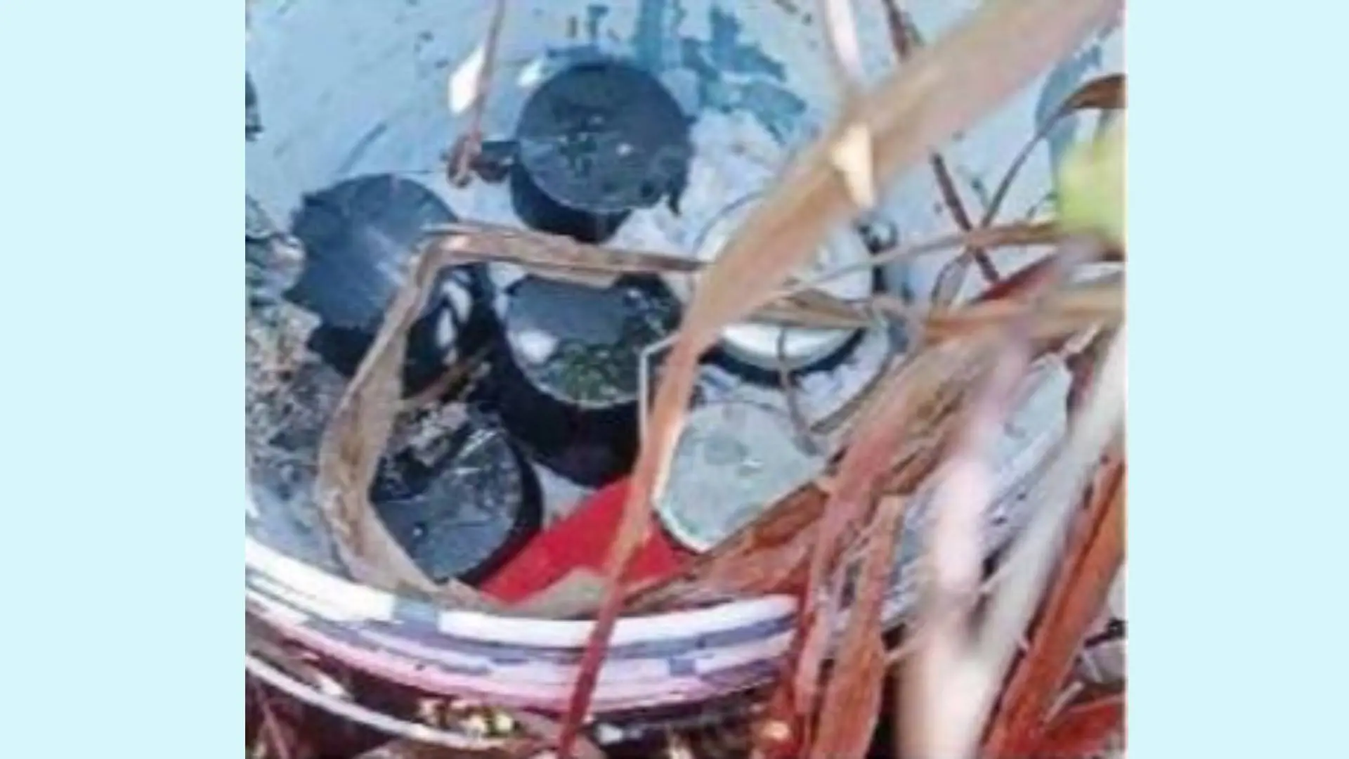 Steel bombs found at Mattannur | Photo: Mathrubhumi