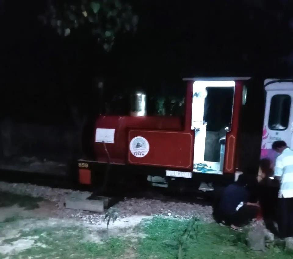 The miniature train that met with the accident.
