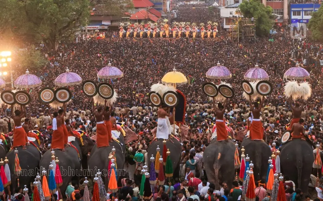 Thrissur Pooram (File Photo) | J Philip, Mathrubhumi