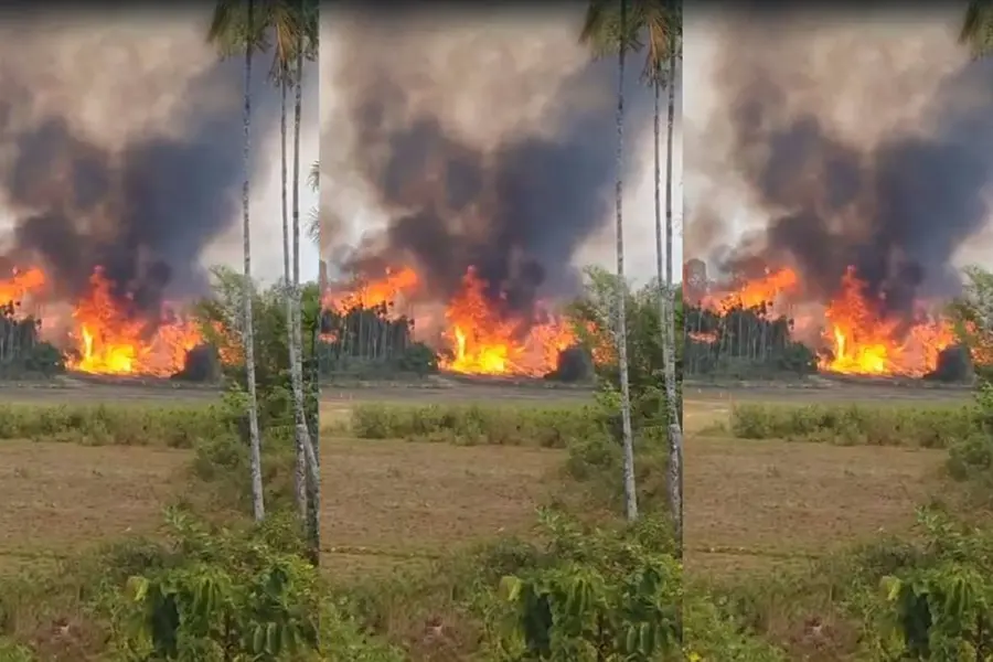 Forest fire breaks out in Wayanad; no casualties, efforts to control blaze underway