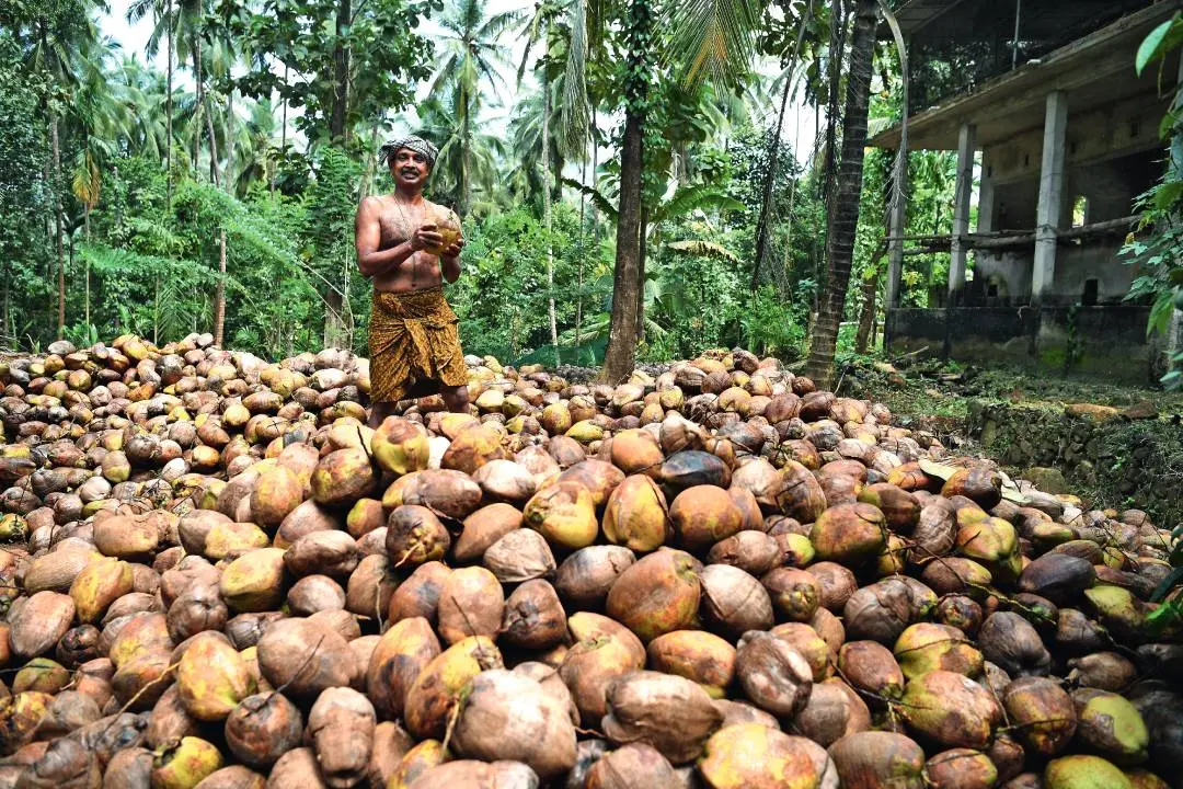 Representative Image | Photo: Madhuraj