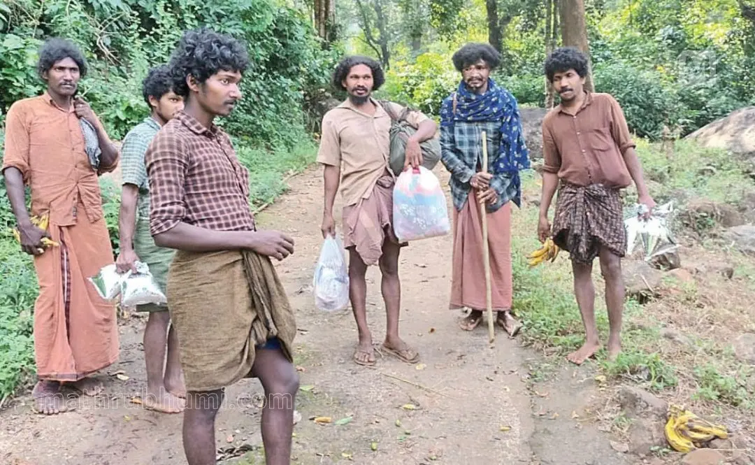 cholanaikkan tribe kerala (file image)