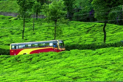 Tourists flock to Munnar despite scorching heat