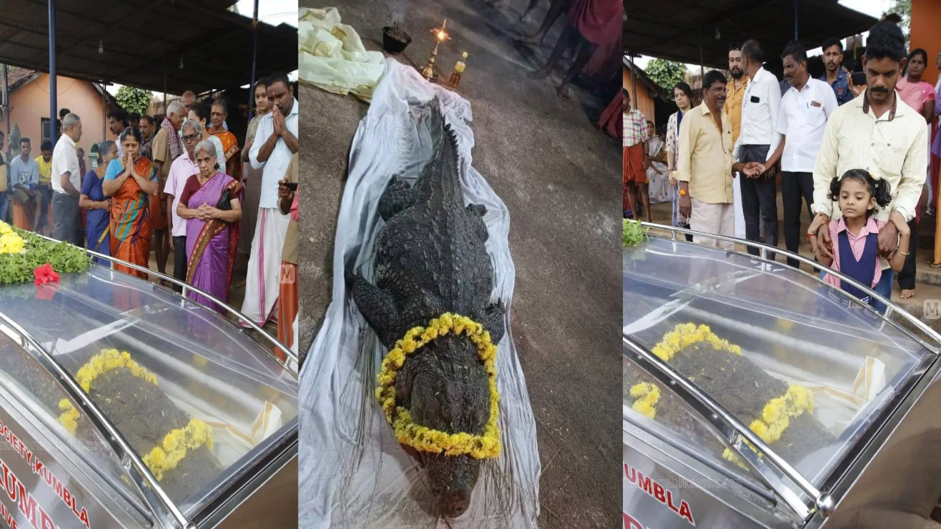 Babiya's carcass kept for public homage I Photo: Ramanath Pai/ Mathrubhumi, Facebook