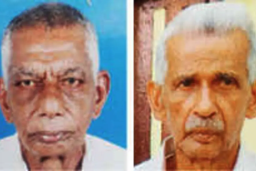Two die in separate incidents of bee attacks in Kannur, Kasargod