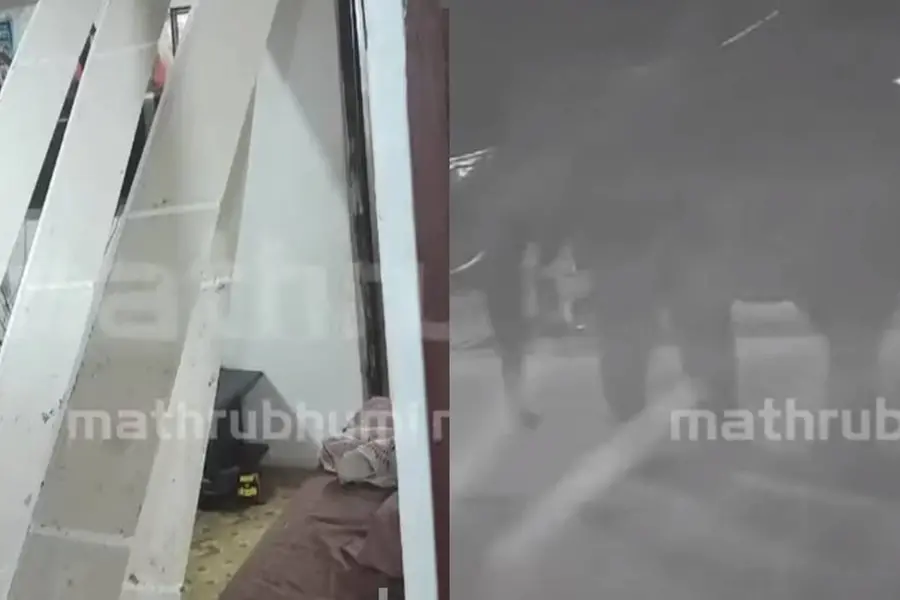 കാട്ടാന ഭീതിയിൽ ഇടുക്കി; ചക്കക്കൊമ്പൻ വീട് ആക്രമിച്ചു, പടയപ്പ ജനവാസ മേഖലയിൽ, ദേശീയപാതയിലും കാട്ടാന