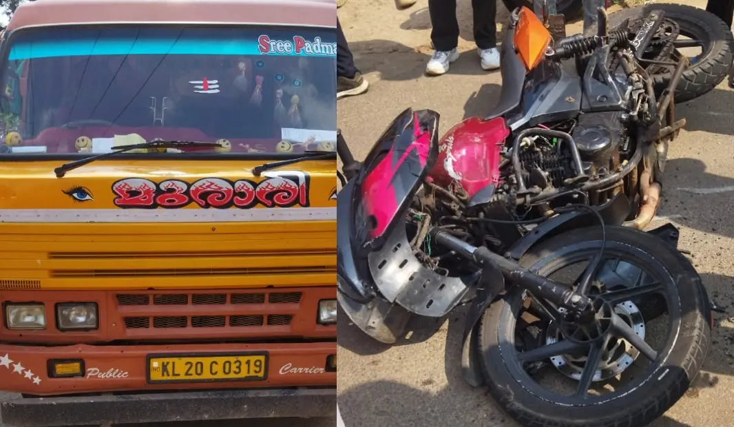 Vehicles that were involved in the accident