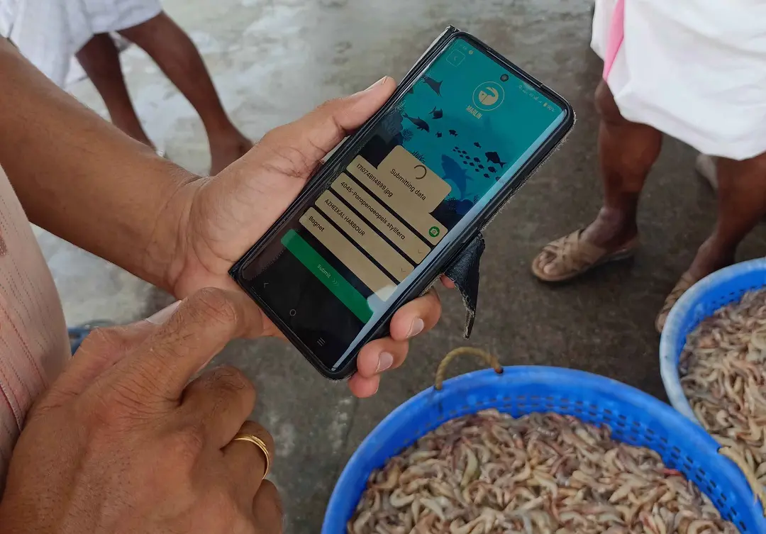 A person using app | Photo; PIB, TVM