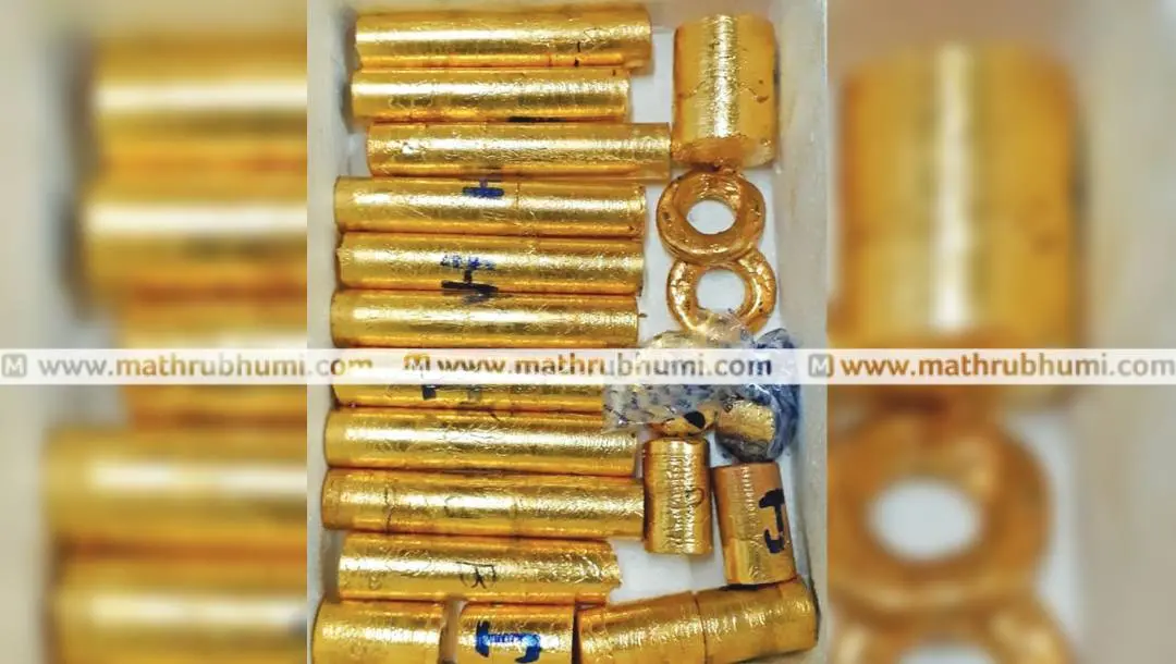Gold Smuggling Case | Photo: Mathrubhumi