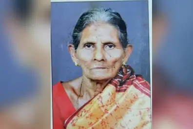 Woman stung by bees dies in Idukki