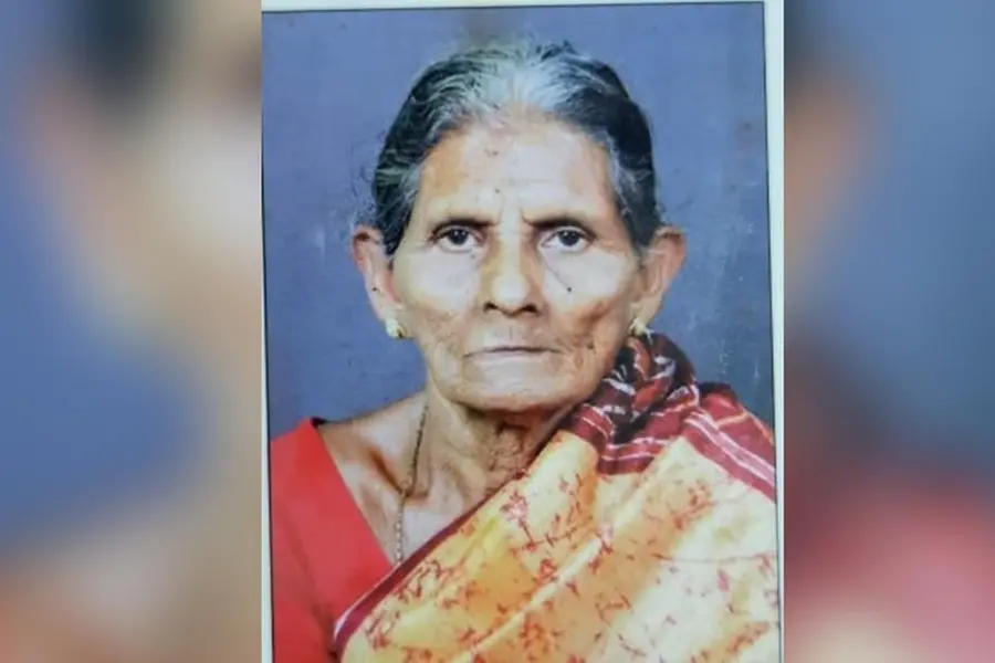 Woman stung by bees dies in Idukki
