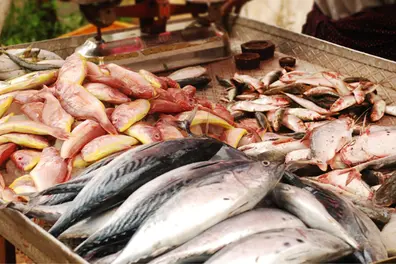FSSAI sets limit for formaldehyde presence in fish