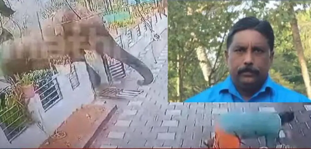 The CCTV visual of the elephant attack, Ajeesh (right)